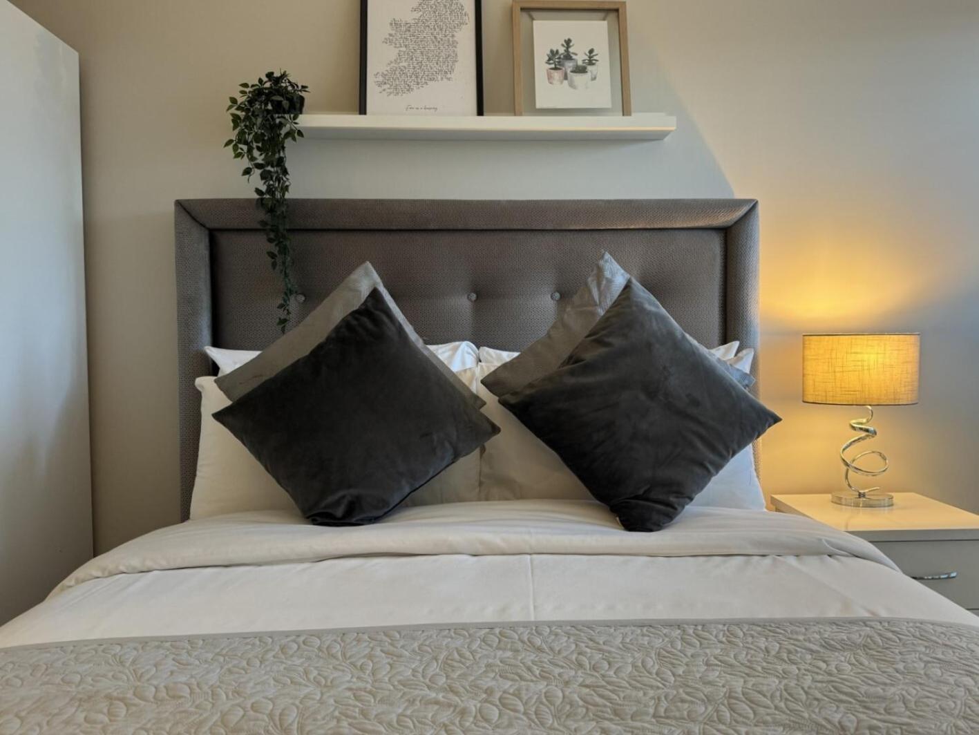 Central Belfast Apartments Sandford 外观 照片